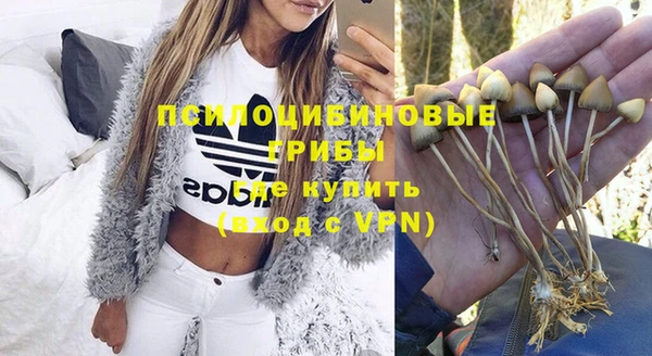мет Нефтекумск