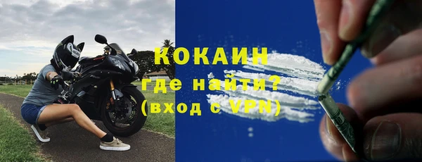 гашик Новодвинск