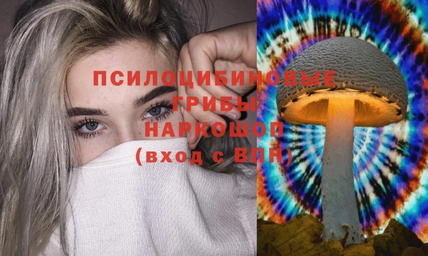 a pvp Нея