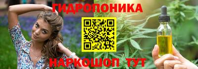 стаф Донской