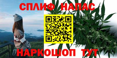 спиды Кунгур