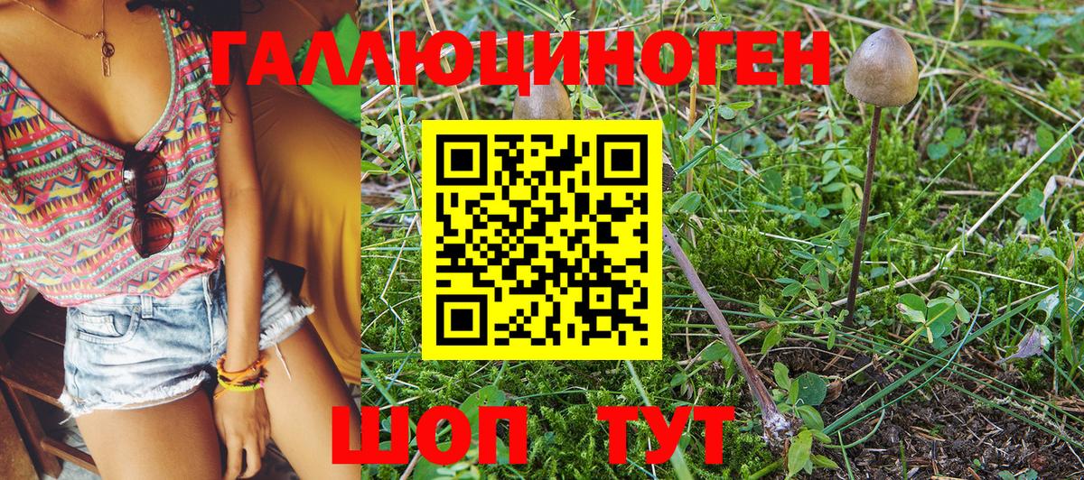 Галлюциногенные грибы Psilocybine cubensis  Ирбит 