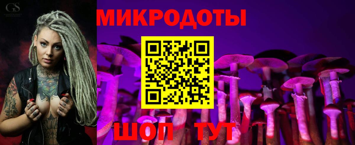 Галлюциногенные грибы мицелий  Вход с VPN  Ирбит  наркотики  Псилоцибиновые грибы Psilocybe 